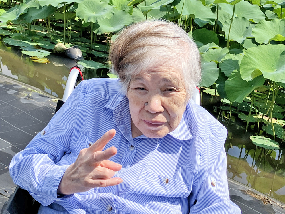 外出 蓮の花見